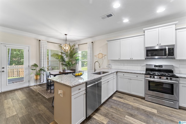 189 Ridgeline Dr, Chelsea, AL 35043 - kitchen featuring appliances with stainless steel finishes, ornamental molding, a peninsula, a chandelier, and plenty of natural light