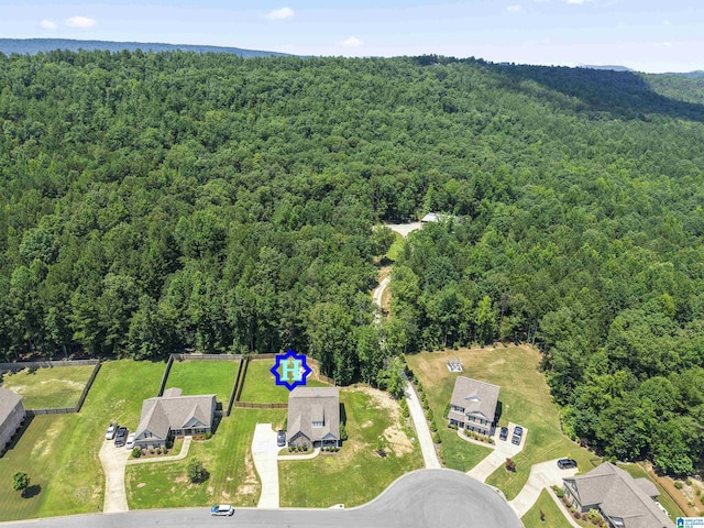 189 Ridgeline Dr, Chelsea, AL 35043 - bird's eye view of a forest