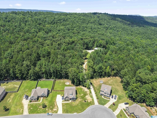 189 Ridgeline Dr, Chelsea, AL 35043 - drone / aerial view of a forest