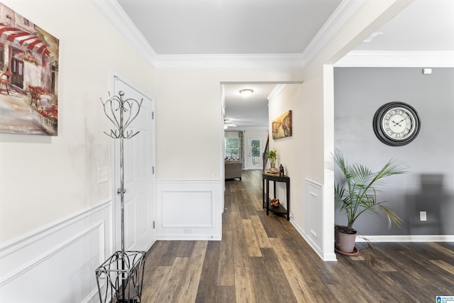 189 Ridgeline Dr, Chelsea, AL 35043 - corridor featuring ornamental molding, wood finished floors, a wainscoted wall, and a decorative wall