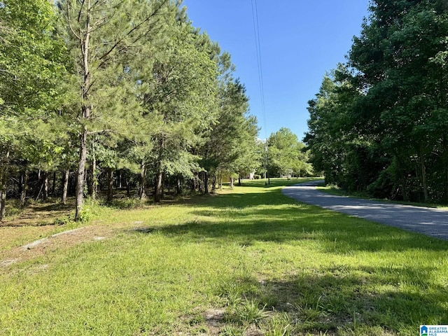 Wright Way Dr Unit 90 & 91B, Wedowee, AL 36278