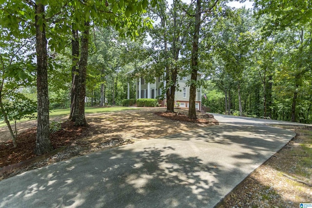 273 Forest Pkwy, Alabaster, AL 35007 - view of yard featuring driveway