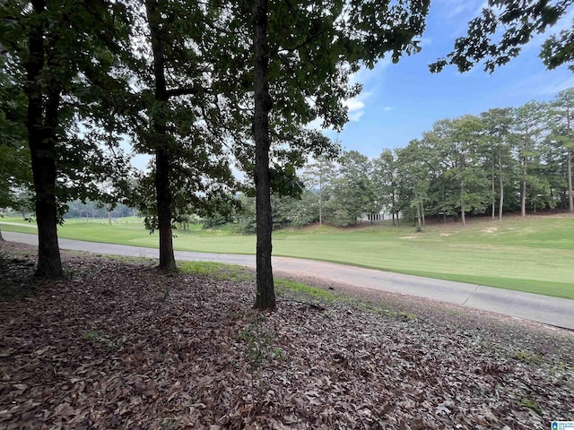 3041 Old Stone Dr, Birmingham, AL 35242 - view of green lawn