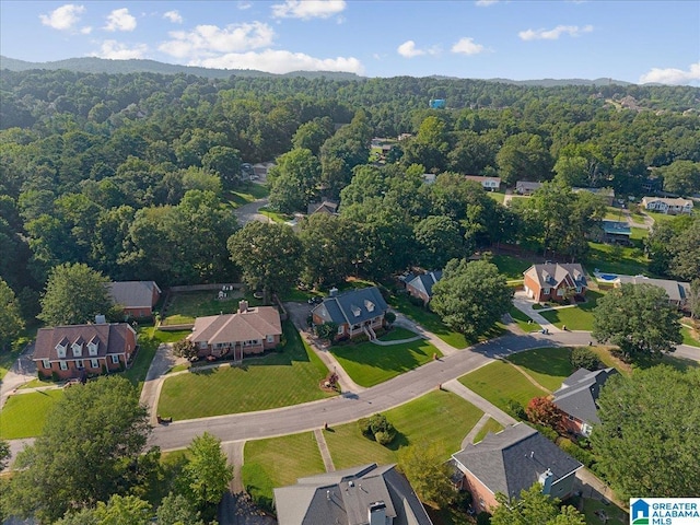 315 Roundabout Dr, Trussville, AL 35173 - aerial view of residential area with a heavily wooded area