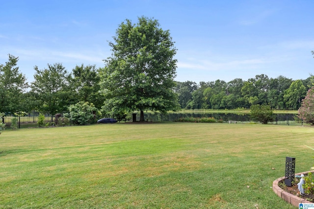 3037 Twelve Stones Rd SE, Owens Cross Roads, AL 35763 - view of yard