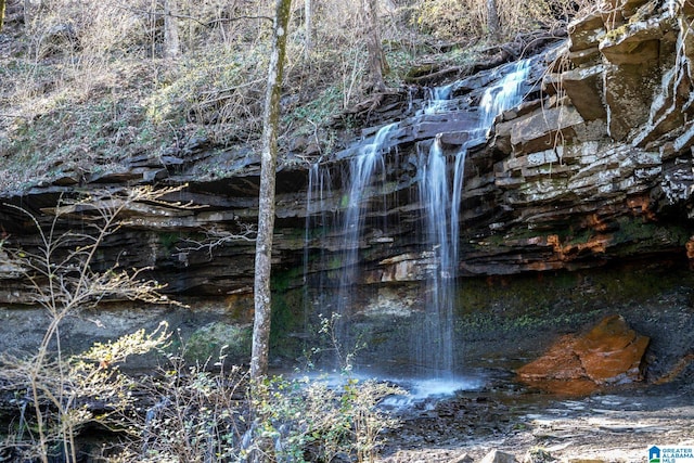 3037 Twelve Stones Rd SE, Owens Cross Roads, AL 35763 - water view