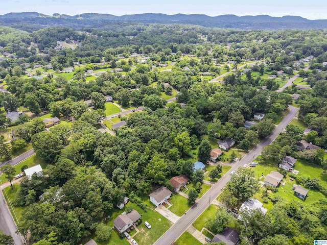 2649 6th St NE, Center Point, AL 35215 - aerial view of mountains
