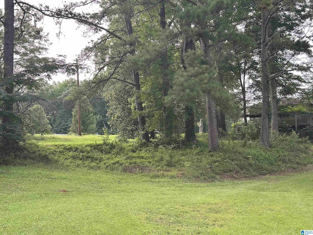 1988 County Rd, Alexander City, AL 35010 - view of grassy yard