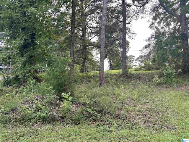 1988 County Rd, Alexander City, AL 35010 - view of nature