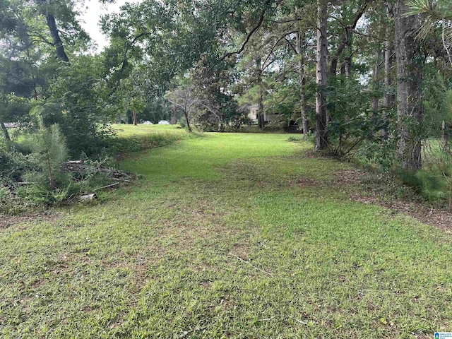 1988 County Rd, Alexander City, AL 35010 - view of green lawn
