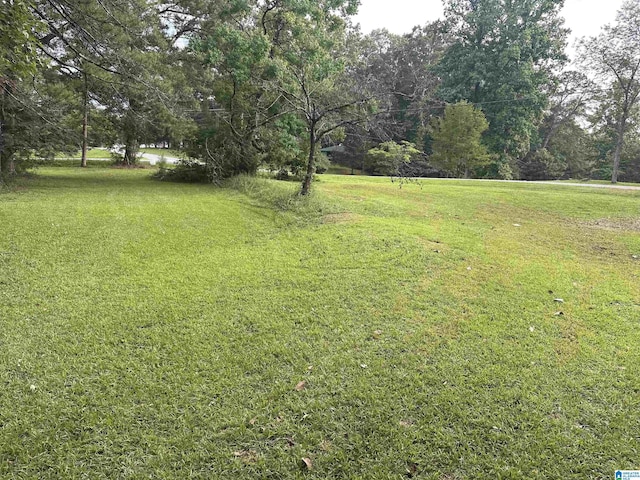 1988 County Rd, Alexander City, AL 35010 - view of grassy yard