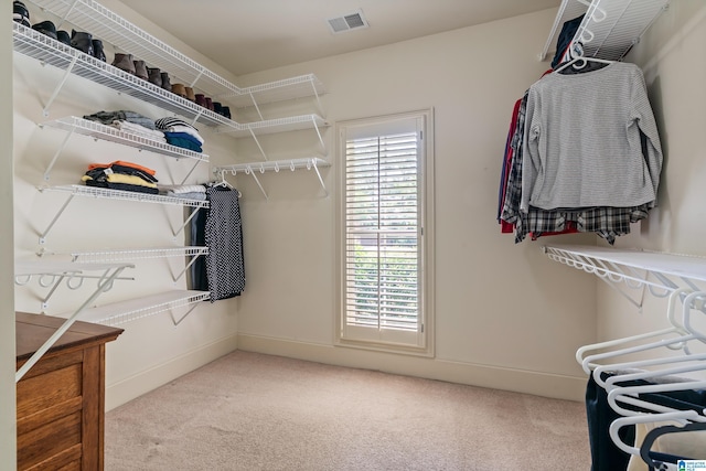 163 River Valley Rd, Helena, AL 35080 - walk in closet with carpet