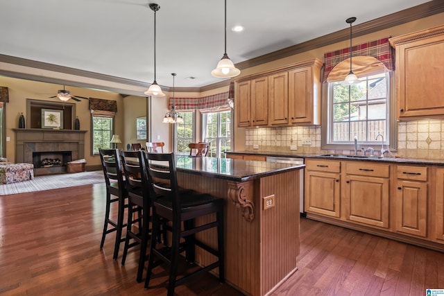 163 River Valley Rd, Helena, AL 35080 - kitchen with dark wood-style flooring, dishwasher, ceiling fan, open floor plan, and healthy amount of natural light