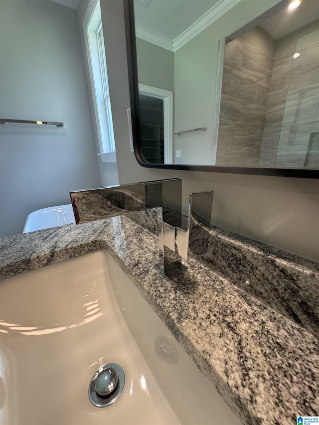 21320 Callie Cir, Mccalla, AL 35111 - bathroom with ornamental molding and vanity