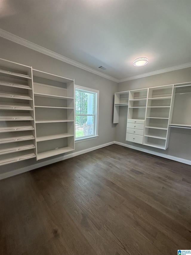 21320 Callie Cir, Mccalla, AL 35111 - spacious closet featuring dark wood finished floors