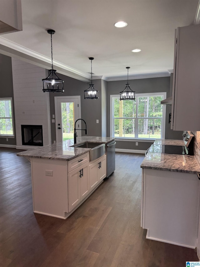 21320 Callie Cir, Mccalla, AL 35111 - kitchen with stainless steel dishwasher, ornamental molding, white cabinets, dark wood-style flooring, and a large fireplace