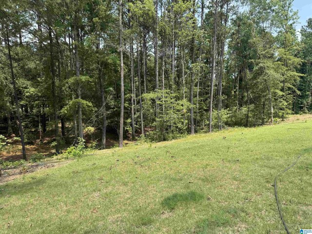 21320 Callie Cir, Mccalla, AL 35111 - view of green lawn