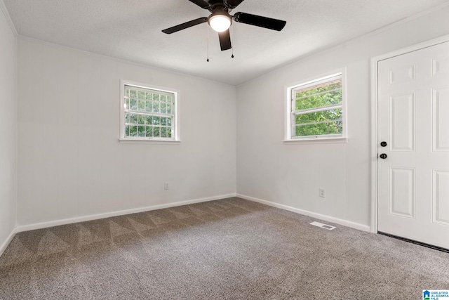 4533 Oak Dr, Pinson, AL 35126 - carpeted spare room featuring healthy amount of natural light, ceiling fan, and a textured ceiling