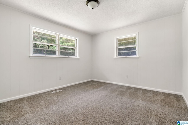 4533 Oak Dr, Pinson, AL 35126 - carpeted spare room with a textured ceiling and crown molding