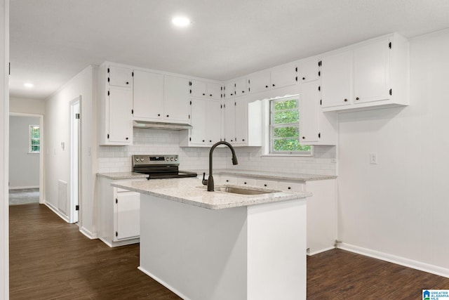 4533 Oak Dr, Pinson, AL 35126 - kitchen with stainless steel electric range oven, under cabinet range hood, white cabinets, dark wood-type flooring, and decorative backsplash