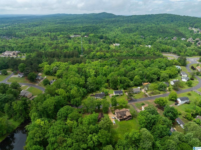 116 Twin Lakes Rd, Trussville, AL 35173 - drone / aerial view of a forest