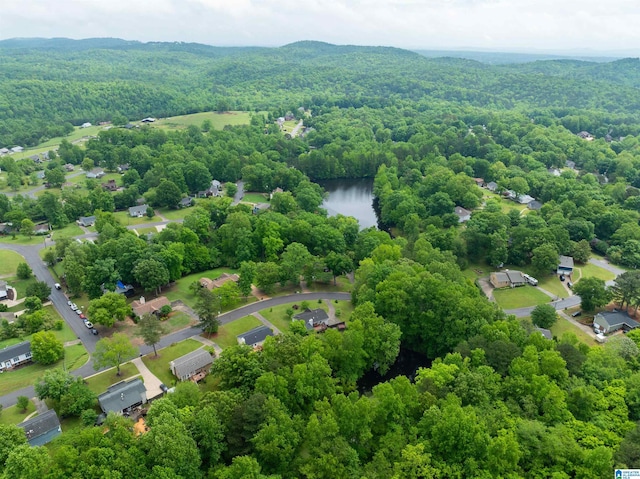 116 Twin Lakes Rd, Trussville, AL 35173 - bird's eye view of a heavily wooded area and a large body of water