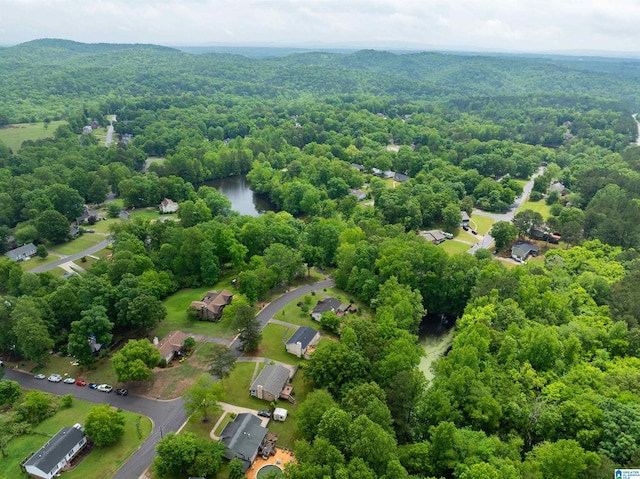 116 Twin Lakes Rd, Trussville, AL 35173 - drone / aerial view of a forest