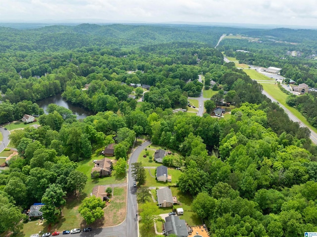 116 Twin Lakes Rd, Trussville, AL 35173 - aerial view of a heavily wooded area and a large body of water