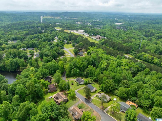 116 Twin Lakes Rd, Trussville, AL 35173 - drone / aerial view of a forest
