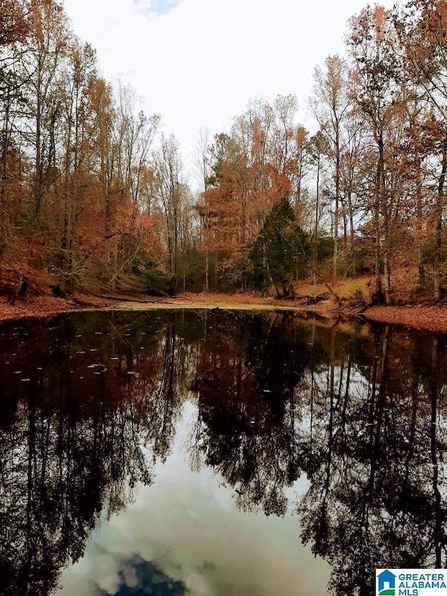 116 Twin Lakes Rd, Trussville, AL 35173 - water view