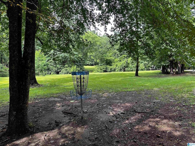 1186 Inverness Cove Way, Hoover, AL 35242 - view of green lawn
