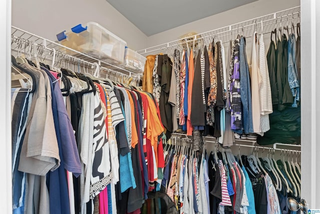 417 Rock View Trl, Maylene, AL 35114 - view of spacious closet