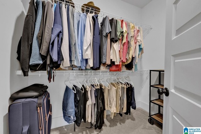 7808 Jayden Dr, Trussville, AL 35173 - walk in closet featuring carpet flooring