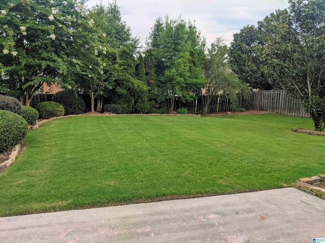 4081 Crossings Ln, Hoover, AL 35242 - view of fenced yard