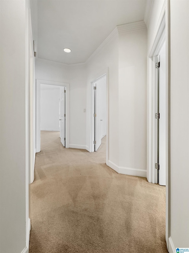 4205 Waterford Ln, Trussville, AL 35173 - corridor featuring light colored carpet, ornamental molding, and recessed lighting