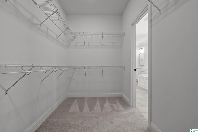 500 Simms Lndg, Pelham, AL 35124 - walk in closet with light colored carpet