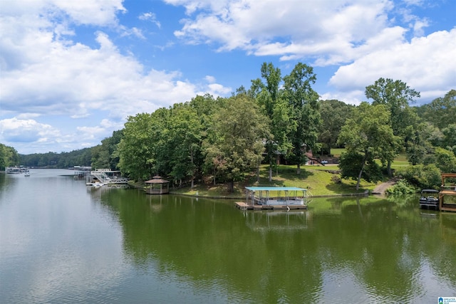 396 Pam St, Wedowee, AL 36278