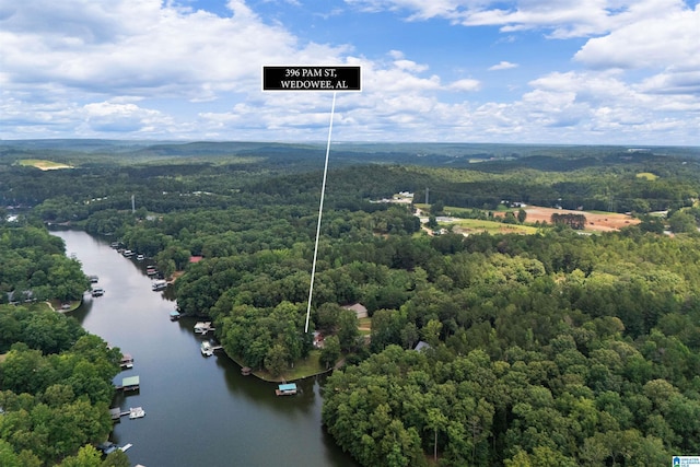 396 Pam St, Wedowee, AL 36278