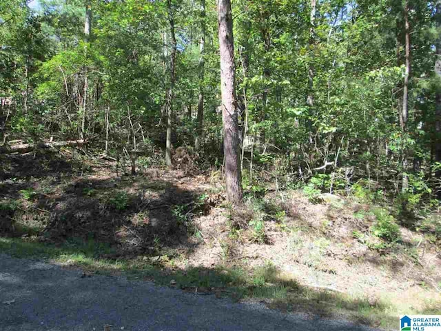 LOT161 Creekside Dr Unit 1, Pinson AL, 35126 land for sale