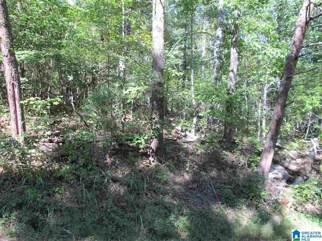 Listing photo 2 for LOT161 Creekside Dr Unit 1, Pinson AL 35126