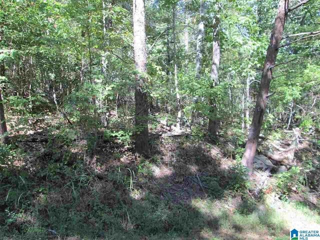 Listing photo 3 for LOT161 Creekside Dr Unit 1, Pinson AL 35126