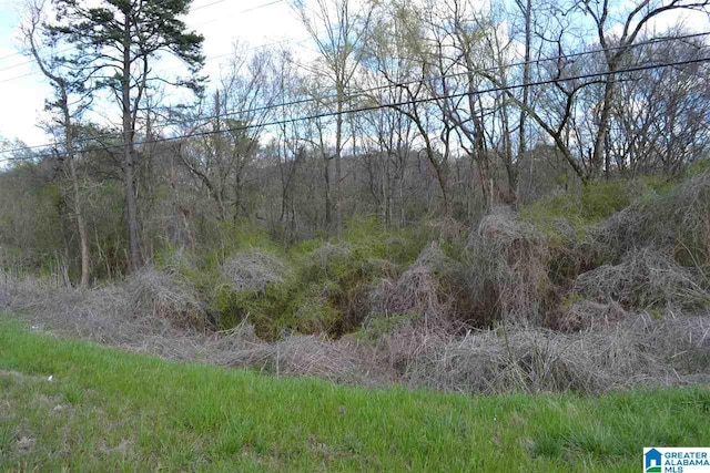 7049 Highway 75 1, Pinson AL, 35126 land for sale