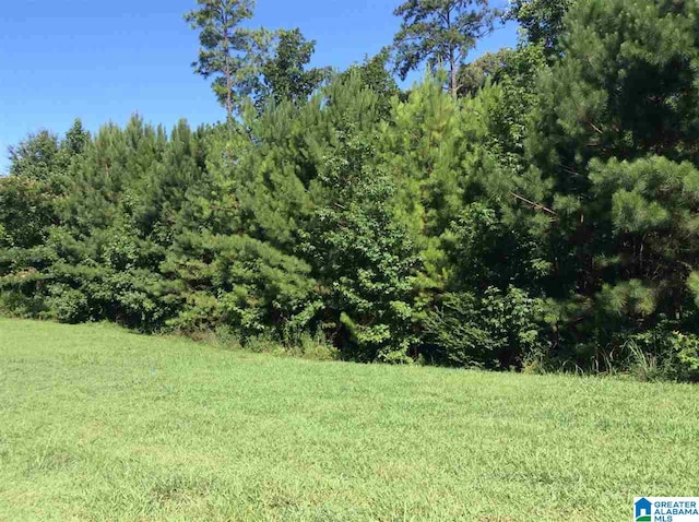 LOT1 Indian Gate Cir Unit 1, Birmingham AL, 35242 land for sale