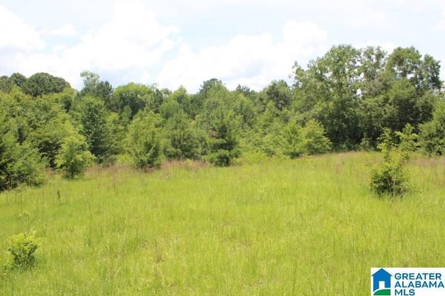 0 Hwy 61 Unit 1, Wilsonville AL, 35186 land for sale