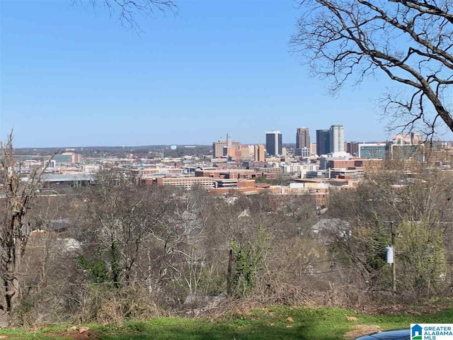 1234 18th Ave S Unit 1, Birmingham AL, 35205 land for sale