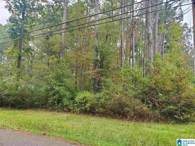 3784 Hilltop Rd Unit 1, Bessemer, AL 35022