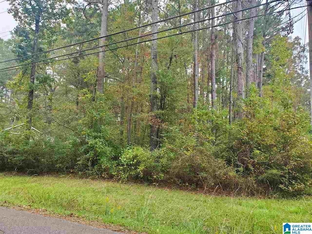 3784 Hilltop Rd Unit 1, Bessemer AL, 35022 land for sale