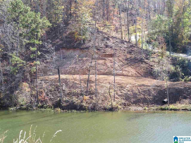 LOT1 Preserve Dr Unit 1, Rockford, AL 35136