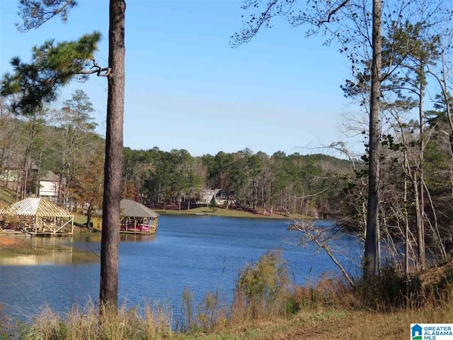 Listing photo 2 for LOT1 Preserve Dr Unit 1, Rockford AL 35136