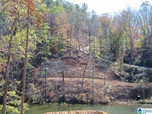 Listing photo 3 for LOT1 Preserve Dr Unit 1, Rockford AL 35136